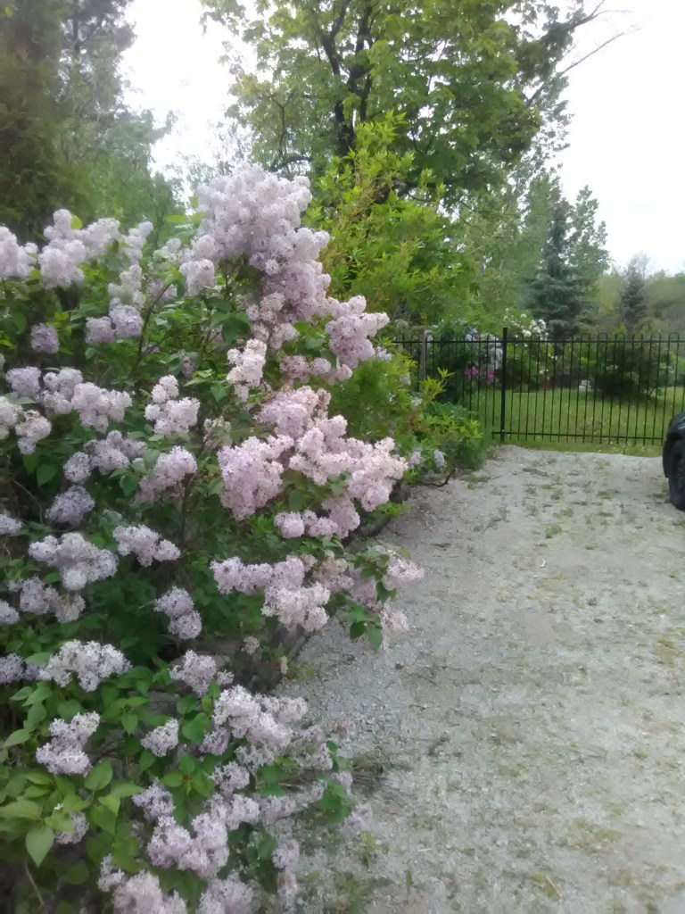 This image has an empty alt attribute; its file name is img_20170527_112006-1.jpg