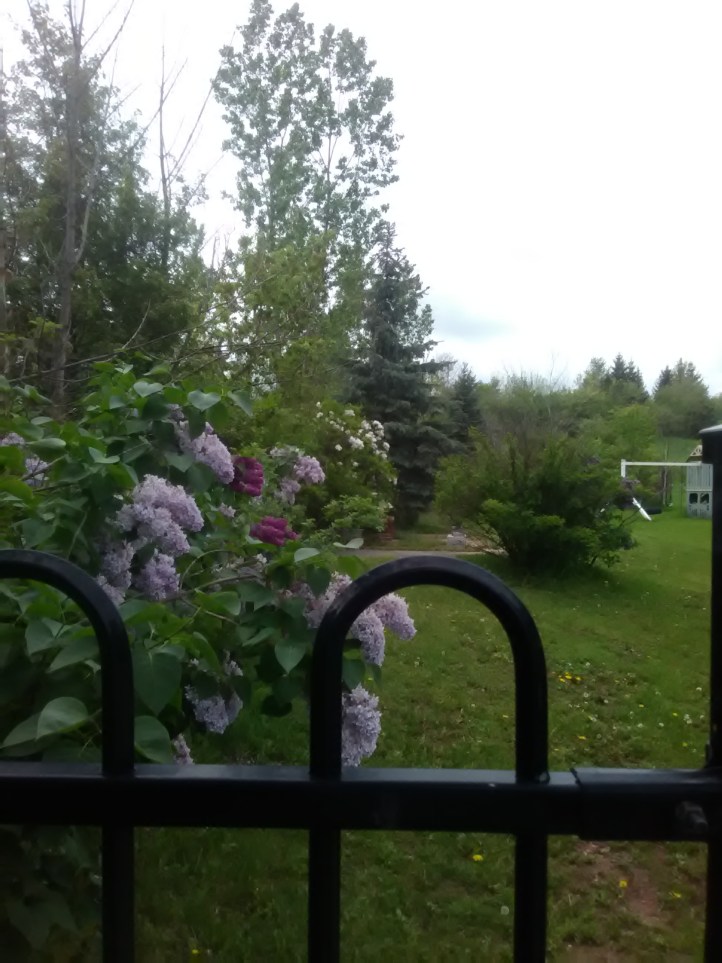 This image has an empty alt attribute; its file name is img_20170527_112100.jpg