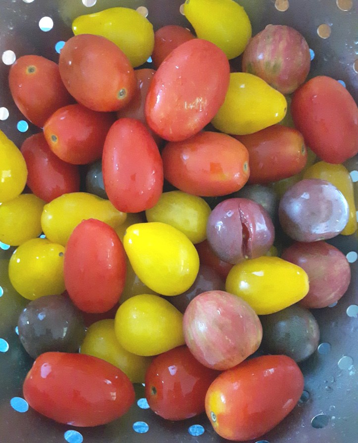 Multi coloured heirloom tomatoes