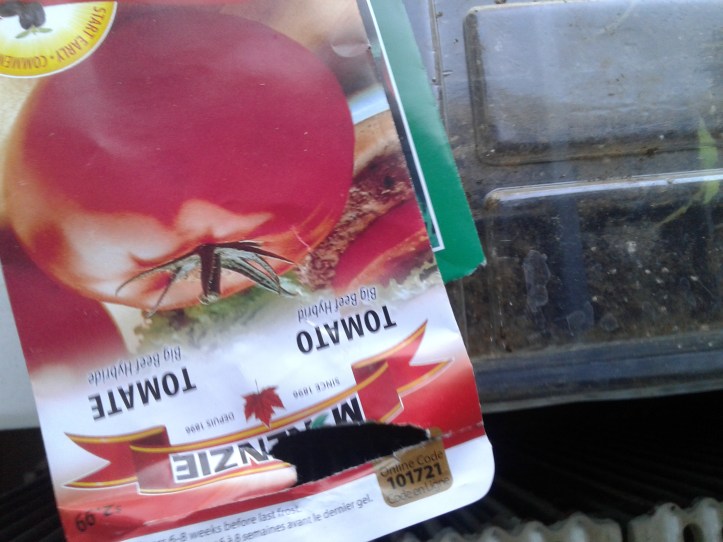 tomato seed packs