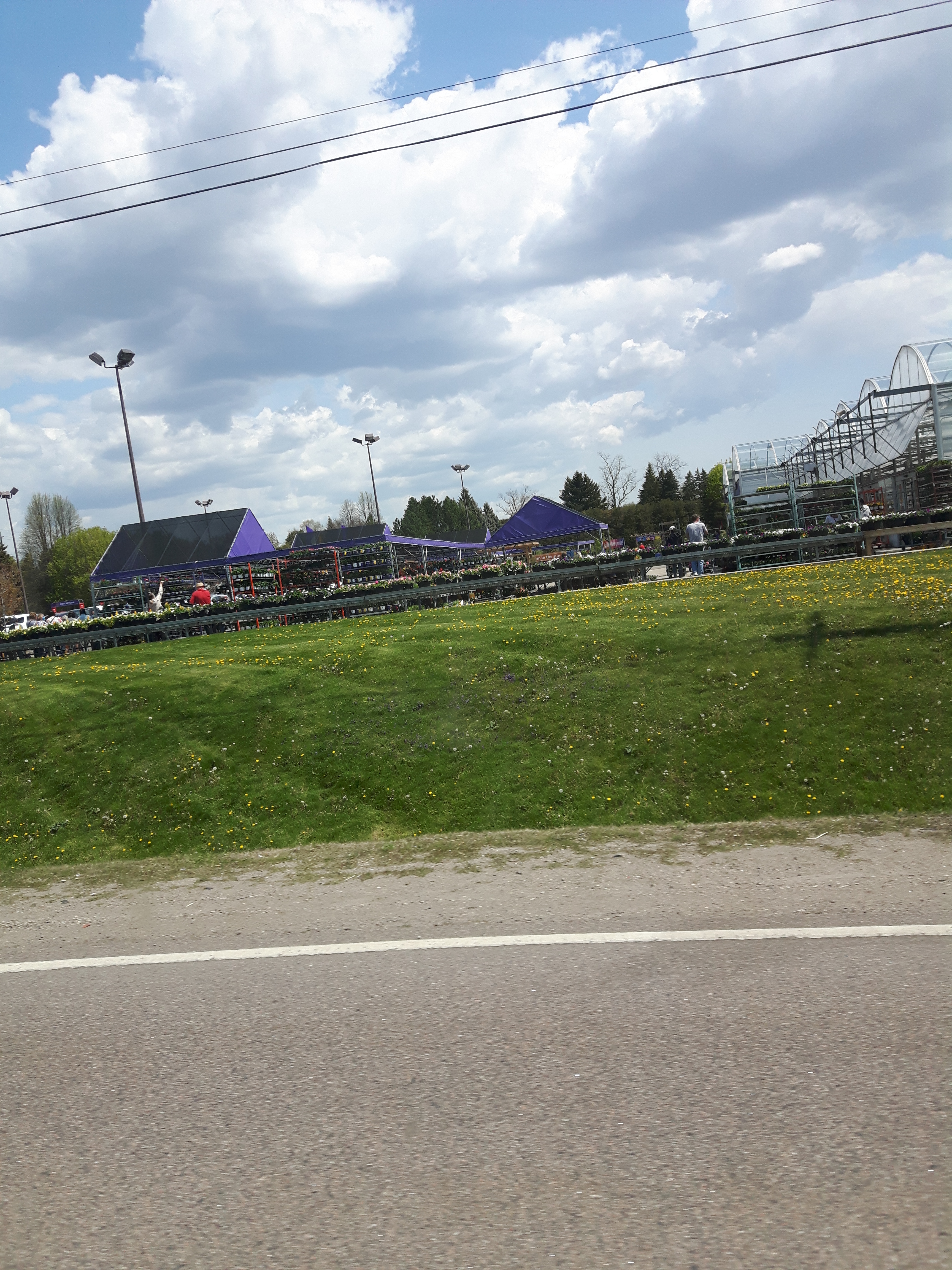 Garden centre lineup
